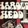 HaroldHead