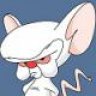 The Brain